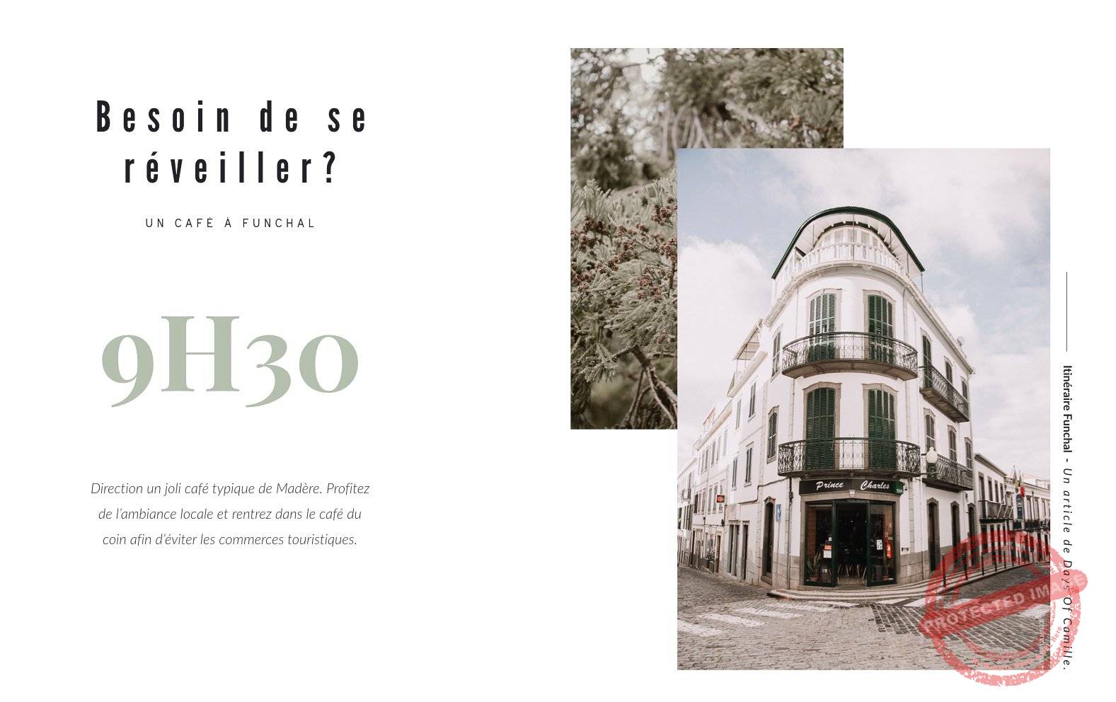 DAYSOFCAMILLE-funchal-madere-voyage3