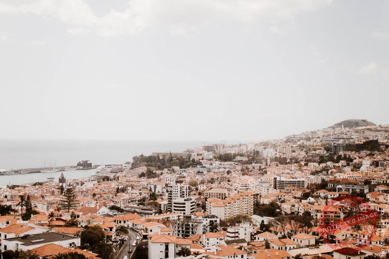 daysofcamille-madere-funchal-voyage107