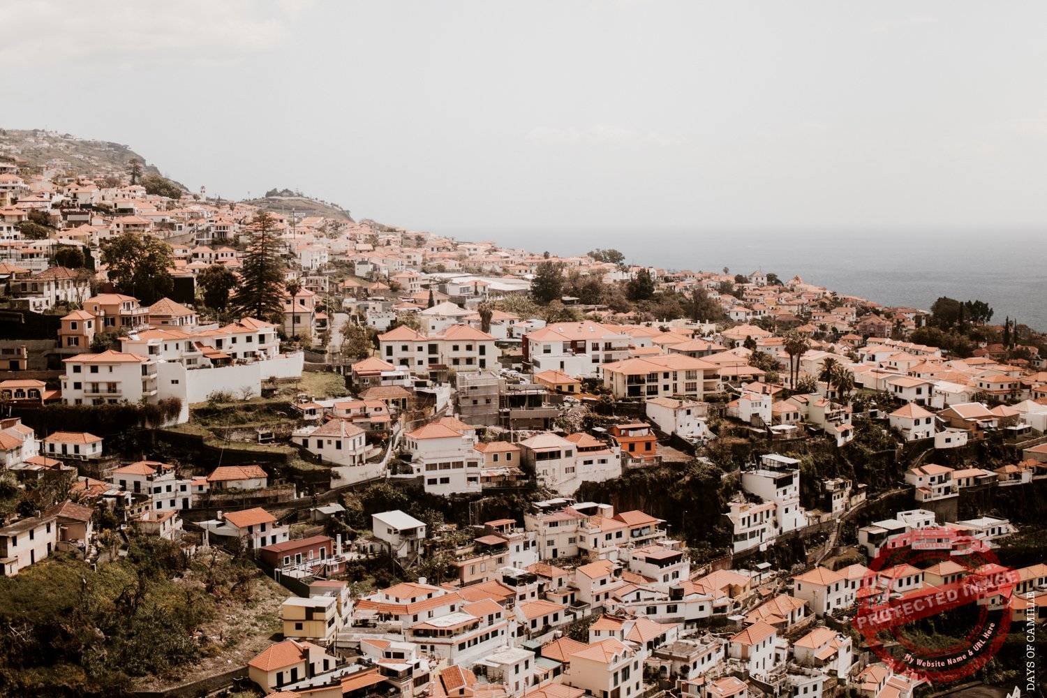 daysofcamille-madere-funchal-voyage112