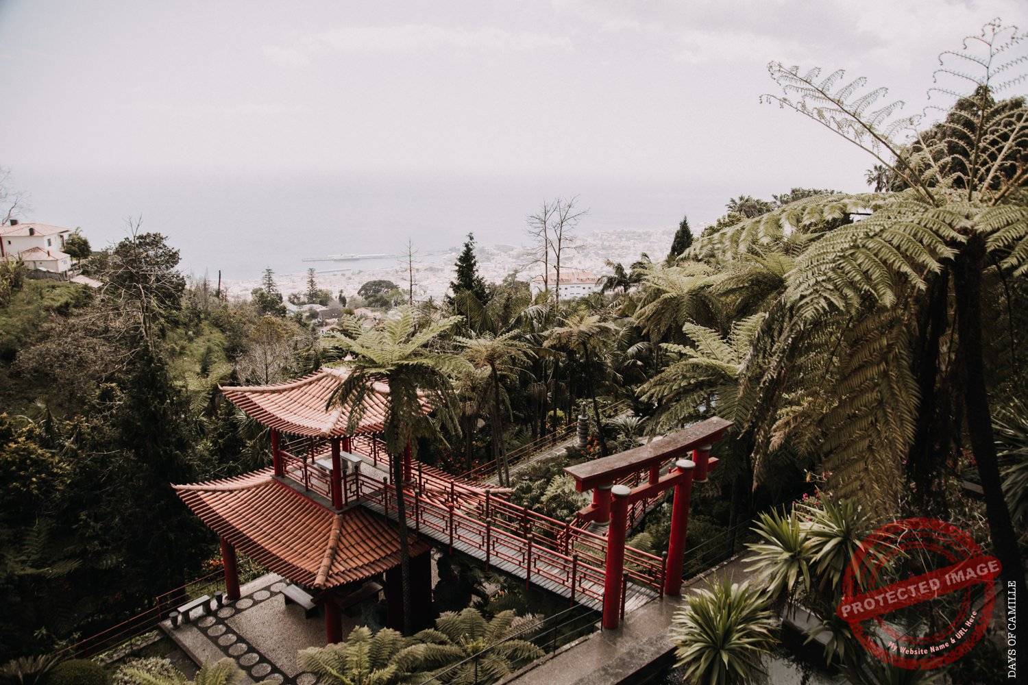 daysofcamille-madere-funchal-voyage171